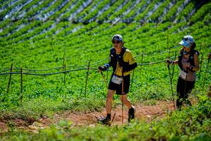 BIB: 239
                            <button type="button" onclick="openModal(19164505)" class="btn btn-primary btn-sm float-right btn-popup" data-toggle="modal" data-target=".modal-high-quality">
                        <i class="fas fa-shopping-cart"></i> Add to Cart
                    </button>
                                            <button type="button" onclick="isThisMe(19164505, true)" class="btn btn-success btn-sm float-right btn-popup btn-isme hidden" data-toggle="tooltip" data-placement="bottom" title="นี่คือรูปของคุณใช่ไหม คลิกที่นี่เพื่อเอาเข้าอัลบั้ม">
                        <i class="fas fa-plus"></i> Add to album
                    </button>
                    <button type="button" onclick="isThisMe(19164505, false)" class="btn btn-warning btn-sm float-right btn-popup btn-isnotme hidden">
                        <i class="fas fa-ban"></i> Remove from album
                    </button>